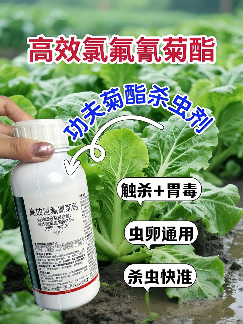 渭南代生中心:农药对供卵代生妈妈的危害